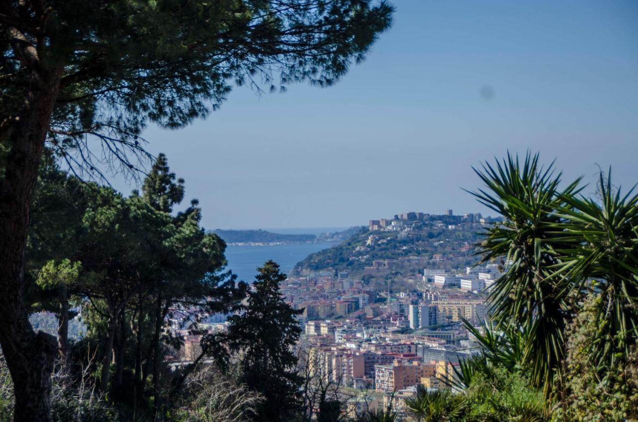 Molly's House A Posillipo Appartement